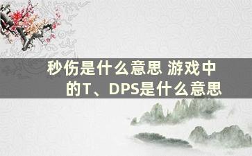 秒伤是什么意思 游戏中的T、DPS是什么意思